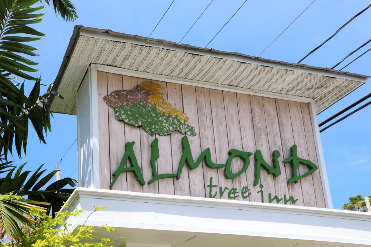 Almond Tree Inn - Adults Only Кей Уест Екстериор снимка